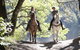 Hunter Valley Horse Riding And Adventures - thumb 1