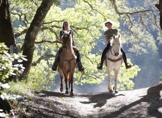 Hunter Valley Horse Riding And Adventures - Hervey Bay Accommodation 1