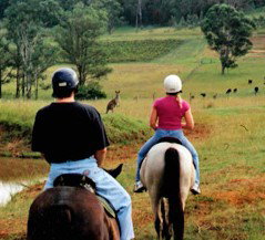 Hunter Valley Horse Riding And Adventures - Hervey Bay Accommodation 3