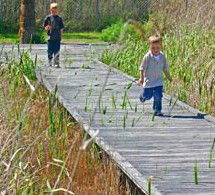 Hunter Wetlands Centre Australia - Hervey Bay Accommodation 1