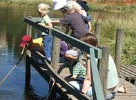 Hunter Wetlands Centre Australia - Hervey Bay Accommodation 2