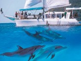 Imagine Cruises - Hervey Bay Accommodation 2
