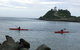 Newcastle Kayak Tours - thumb 0