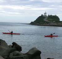 Newcastle Kayak Tours - Hervey Bay Accommodation