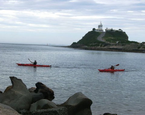 Newcastle Kayak Tours - Hervey Bay Accommodation 0