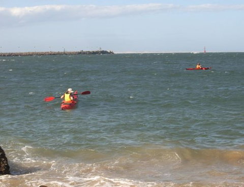 Newcastle Kayak Tours - Hervey Bay Accommodation 1