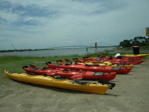 Newcastle Kayak Tours - Hervey Bay Accommodation 2