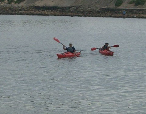 Newcastle Kayak Tours - Hervey Bay Accommodation 4