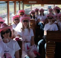 Newcastles Famous Tram - Hervey Bay Accommodation