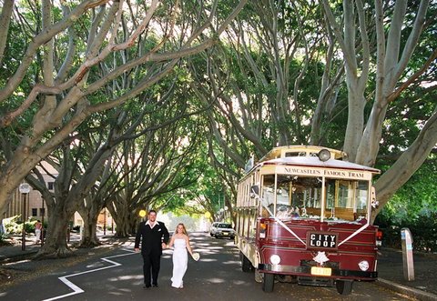 Newcastles Famous Tram - Hervey Bay Accommodation 2