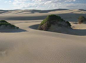 Port Stephens 4WD Tours - Hervey Bay Accommodation 1