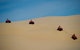 Aboriginal Tours And Sand Dune Adventures - thumb 2