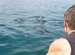 Tex Tours - Hervey Bay Accommodation 3