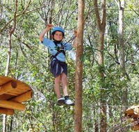 TreeTops Newcastle - Hervey Bay Accommodation