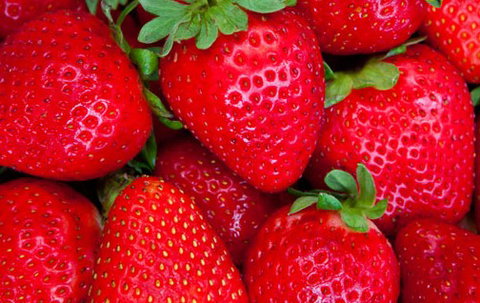 Newcastle City Farmers Markets - Hervey Bay Accommodation 2