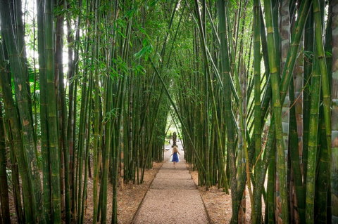 Crystal Castle & Shambhala Gardens - Hervey Bay Accommodation 1