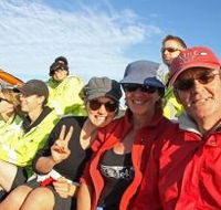 Byron Bay Whale Watching - Hervey Bay Accommodation
