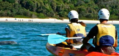 Go Sea Kayak - Hervey Bay Accommodation 2