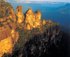 Botanica World Discoveries - Hervey Bay Accommodation 1