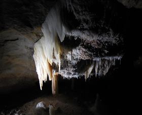 Country Charmâ„¢ Discovery Tours - Hervey Bay Accommodation 1