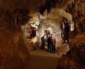 Country Charmâ„¢ Discovery Tours - Hervey Bay Accommodation 3