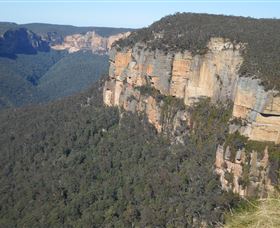 Country Charmâ„¢ Discovery Tours - Hervey Bay Accommodation 4