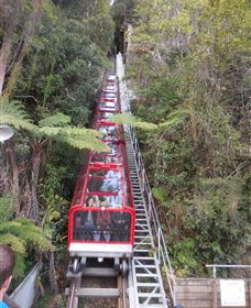 Country Charmâ„¢ Discovery Tours - Hervey Bay Accommodation 6