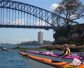 Natural Wanders - Hervey Bay Accommodation 3