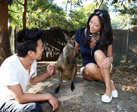 VIP Aussie Gold - Hervey Bay Accommodation 0