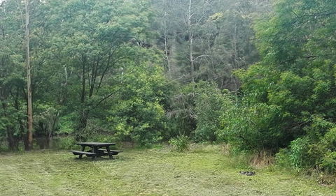 Halfway Point Picnic Area - Hervey Bay Accommodation 0