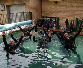 Dive Centre Manly - Hervey Bay Accommodation 1