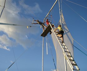 Circus Arts Sydney - Hervey Bay Accommodation 2