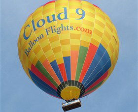 Cloud 9 Balloon Flights - Tourism Hervey Bay 0