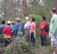 Boronia Tours - Hervey Bay Accommodation