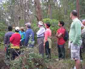Boronia Tours - Hervey Bay Accommodation 0