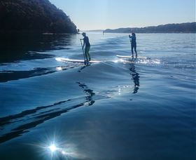 Avalon Stand Up Paddle - Hervey Bay Accommodation 2