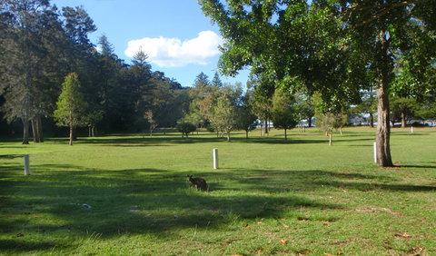 The Basin Picnic Area - Hervey Bay Accommodation 1