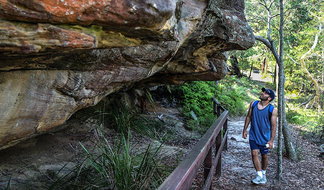 Book North Creek NSW Attractions Hervey Bay Accommodation Hervey Bay Accommodation