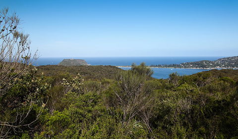 Aboriginal Heritage Walk - Hervey Bay Accommodation 1