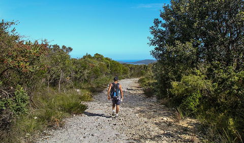 Aboriginal Heritage Walk - Hervey Bay Accommodation 3