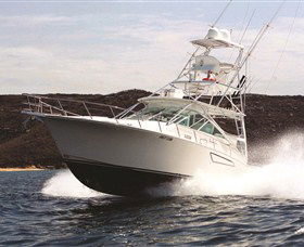 1300 Big Fish - Hervey Bay Accommodation 0