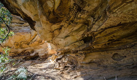 Marramarra National Park - Hervey Bay Accommodation 0