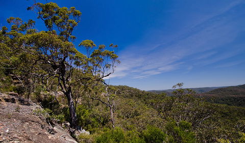 Marramarra National Park - Hervey Bay Accommodation 1