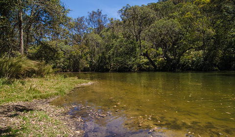Marramarra National Park - Hervey Bay Accommodation 2