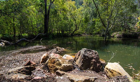 Marramarra National Park - Hervey Bay Accommodation 3