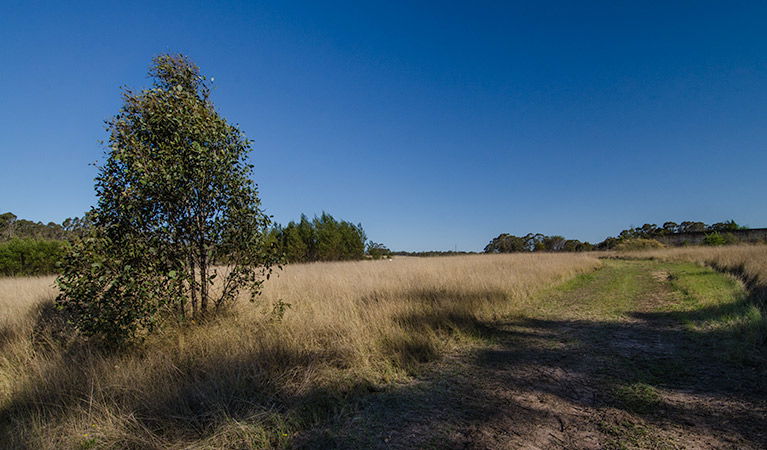 Oakville NSW Hervey Bay Accommodation