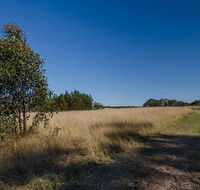 Scheyville horse riding trails - Hervey Bay Accommodation