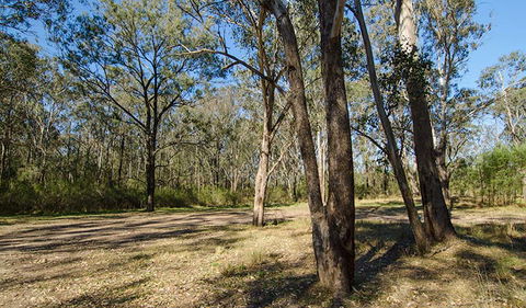 Scheyville Horse Riding Trails - Hervey Bay Accommodation 1