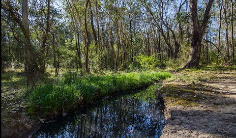 Scheyville Horse Riding Trails - Hervey Bay Accommodation 2