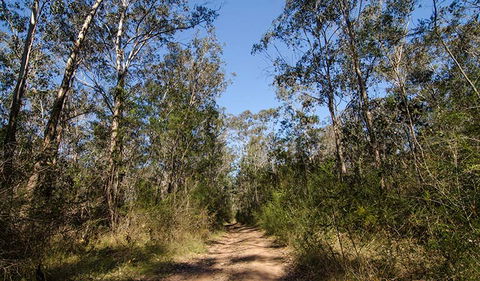 Scheyville Horse Riding Trails - Hervey Bay Accommodation 3